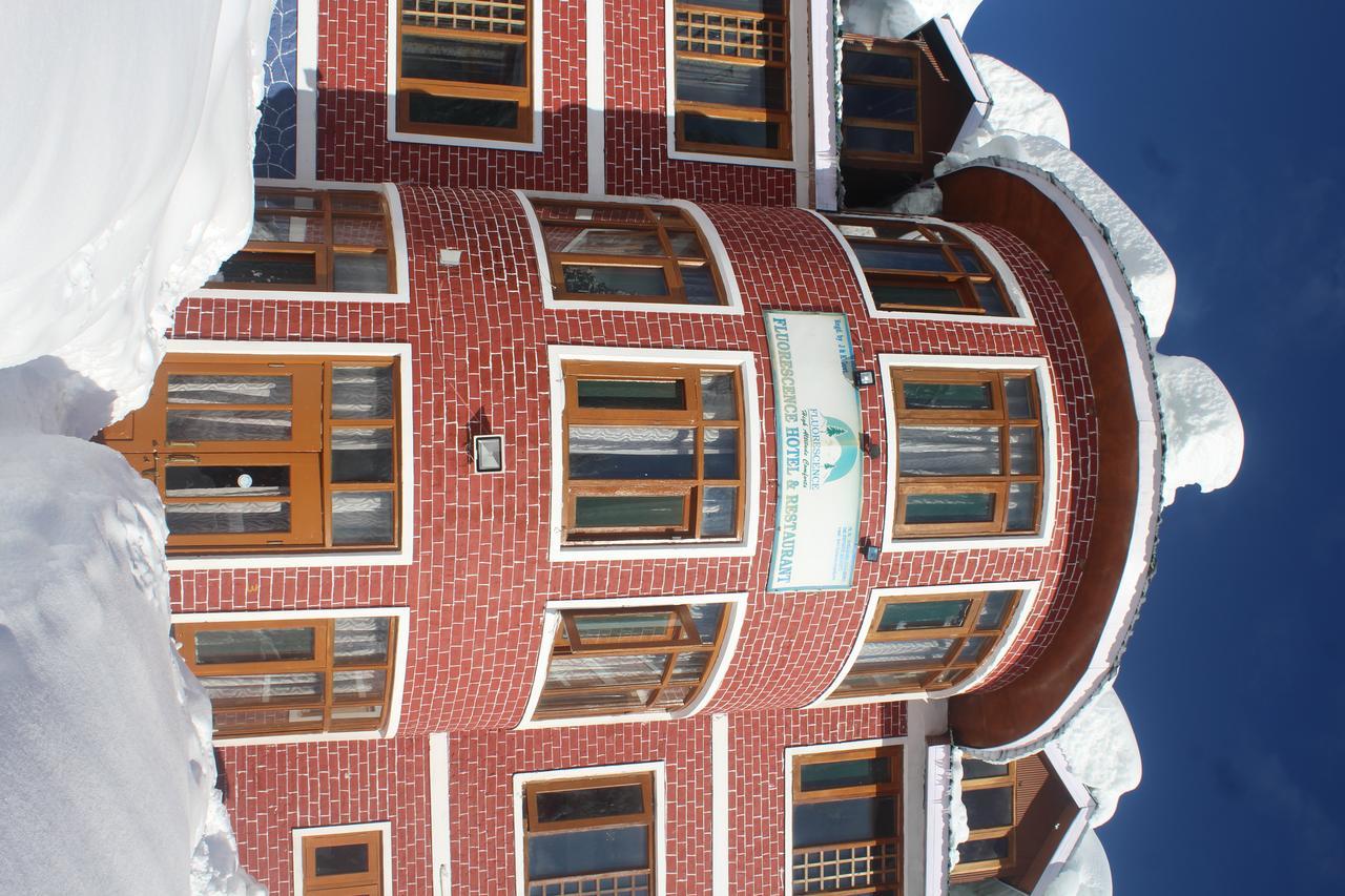 Fluorescence Hotel And Restaurant Gulmarg Bagian luar foto
